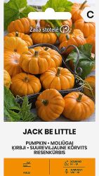 Pumpkin Jack Be Little Seeds